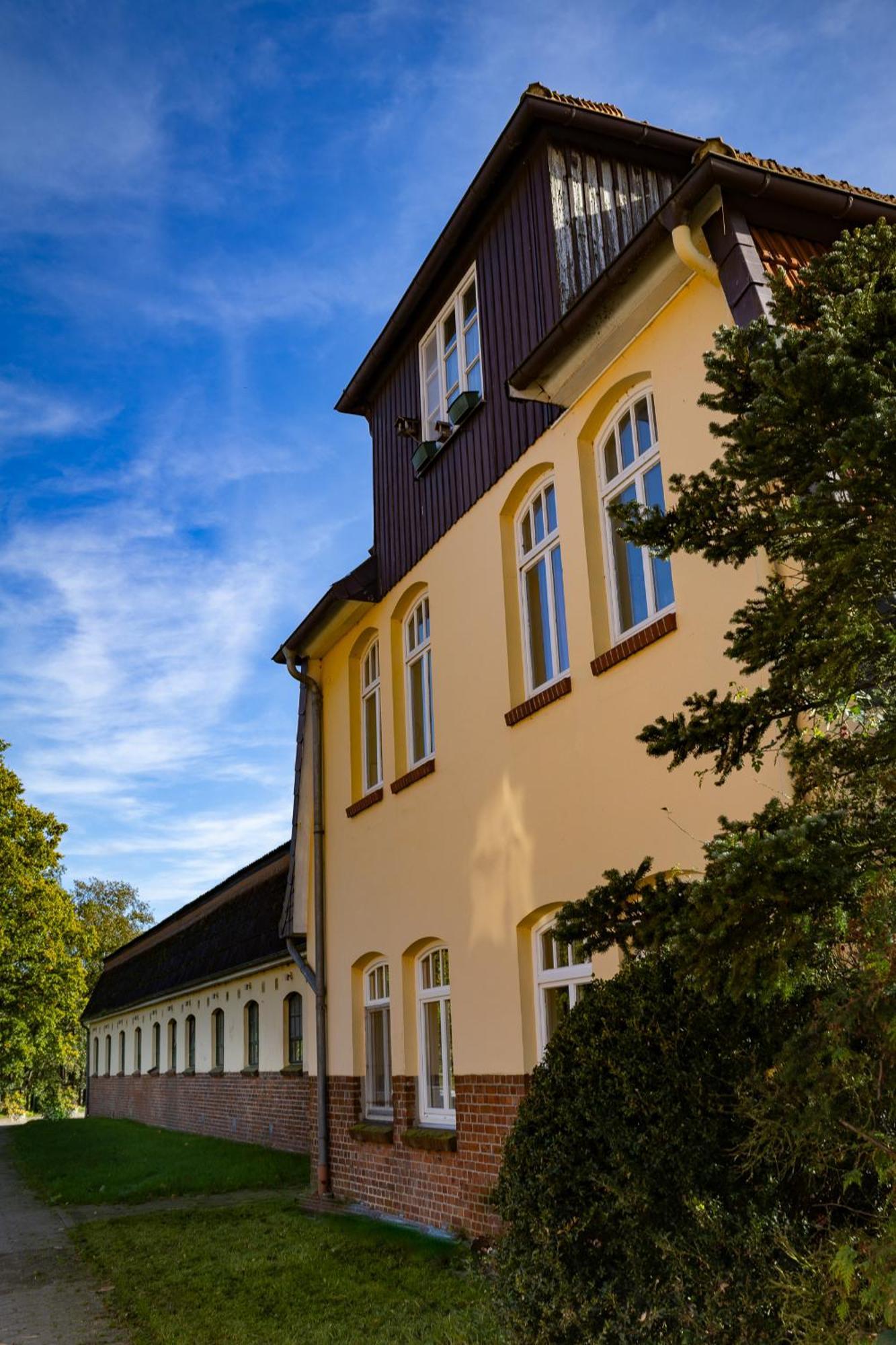 VierhofenFewo Mit Pferdeboxen, Paddock Und Weide In Der Lueneburger Heideアパートメント エクステリア 写真