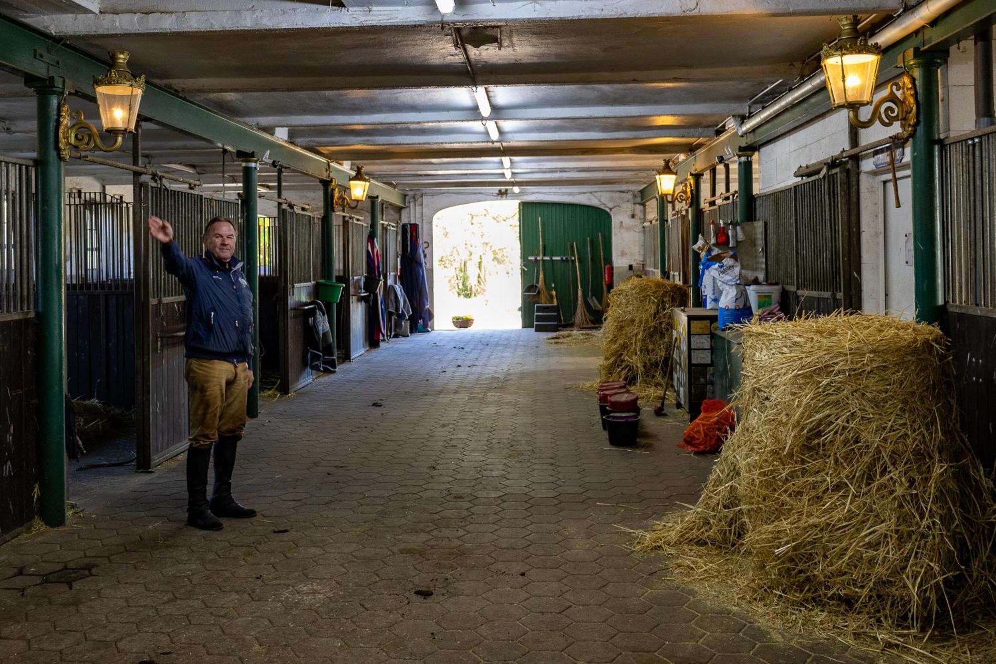 VierhofenFewo Mit Pferdeboxen, Paddock Und Weide In Der Lueneburger Heideアパートメント エクステリア 写真